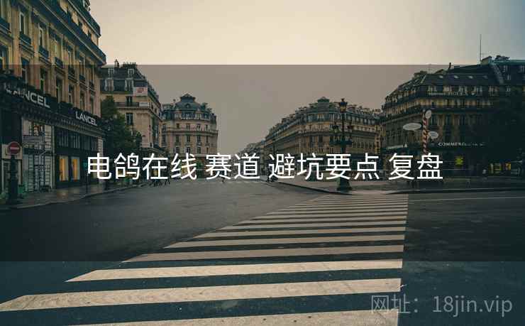 电鸽在线 赛道 避坑要点 复盘