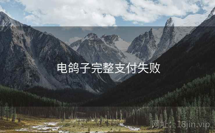 电鸽子完整支付失败