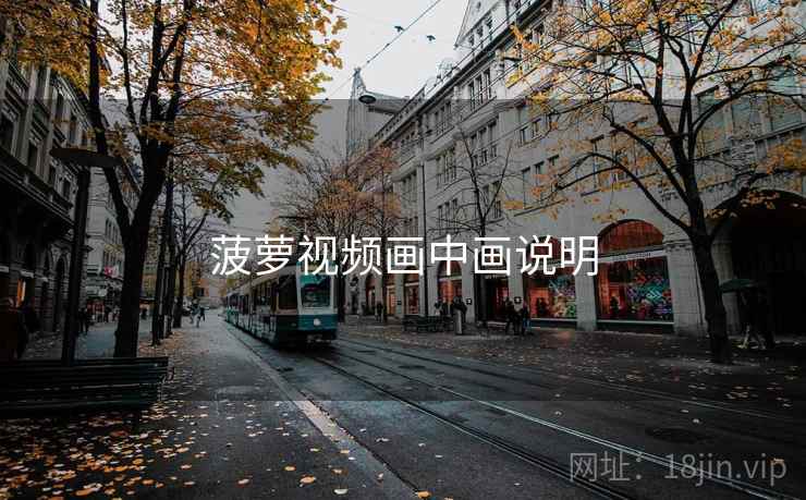 菠萝视频画中画说明