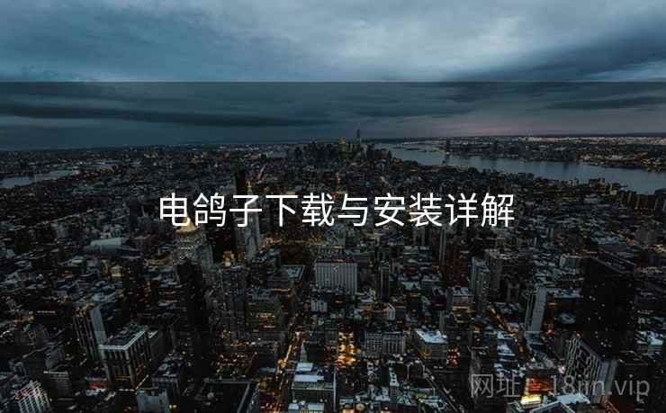 电鸽子下载与安装详解