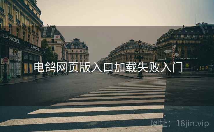 电鸽网页版入口加载失败入门