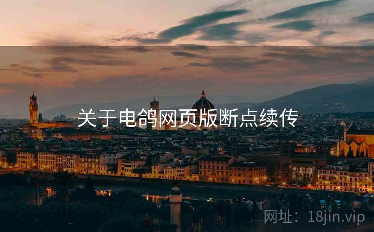 关于电鸽网页版断点续传