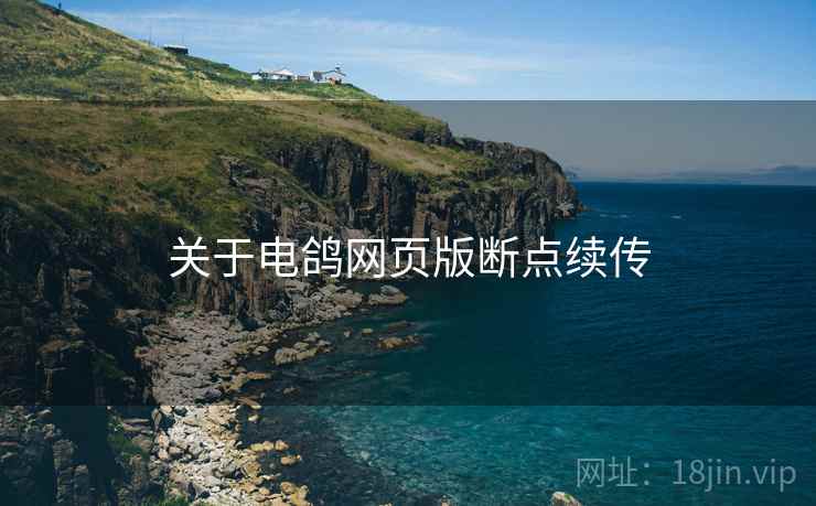 关于电鸽网页版断点续传