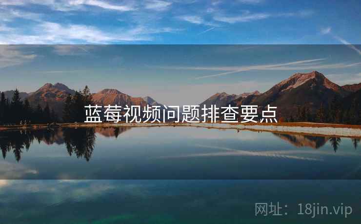 蓝莓视频问题排查要点  第1张