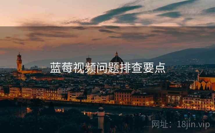蓝莓视频问题排查要点  第2张