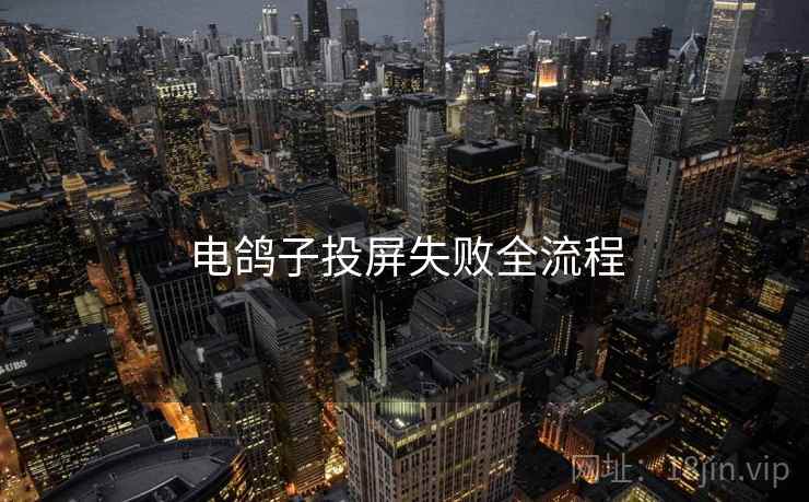 电鸽子投屏失败全流程