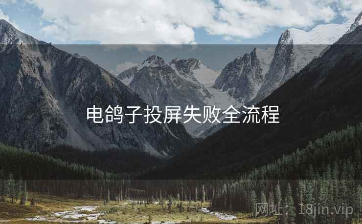 电鸽子投屏失败全流程
