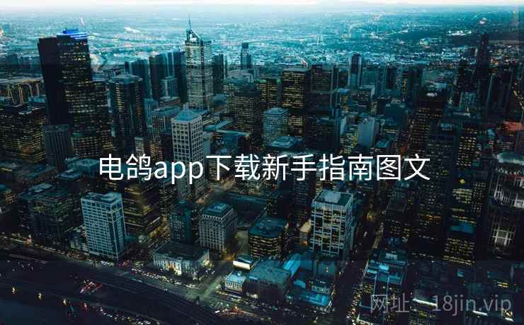 电鸽app下载新手指南图文