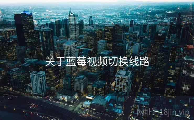 关于蓝莓视频切换线路