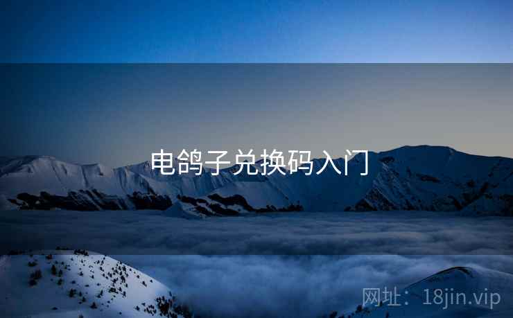 电鸽子兑换码入门