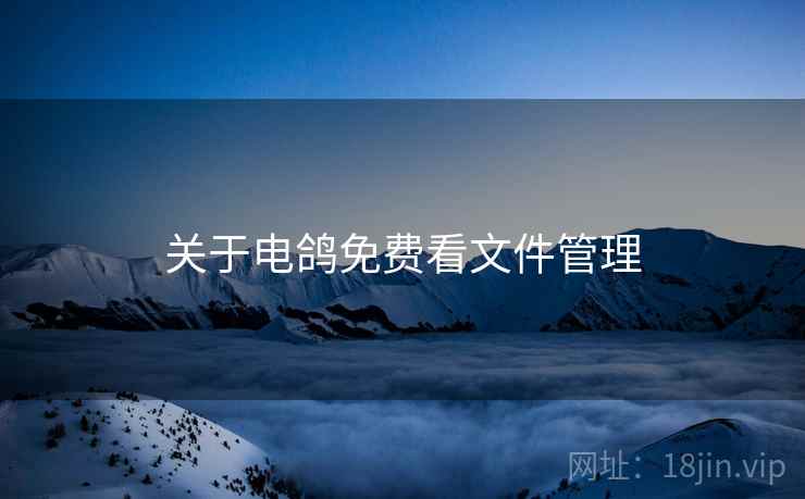 关于电鸽免费看文件管理