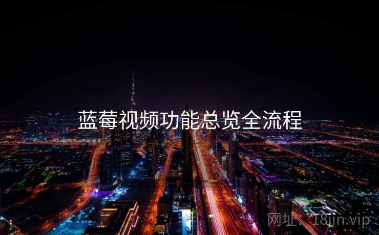 蓝莓视频功能总览全流程
