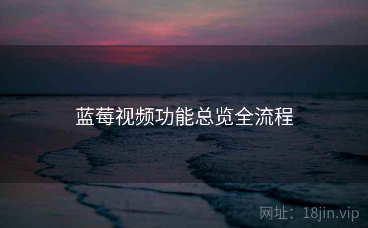 蓝莓视频功能总览全流程
