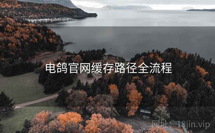 电鸽官网缓存路径全流程
