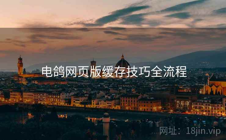 电鸽网页版缓存技巧全流程