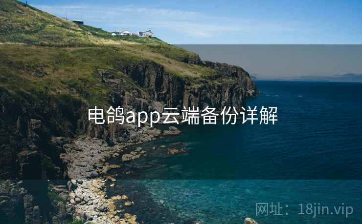 电鸽app云端备份详解