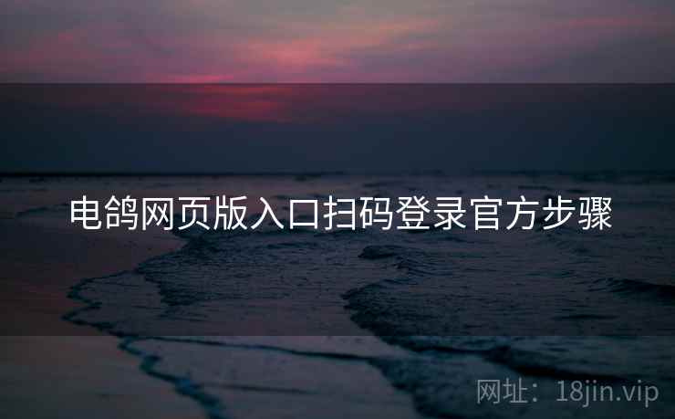电鸽网页版入口扫码登录官方步骤
