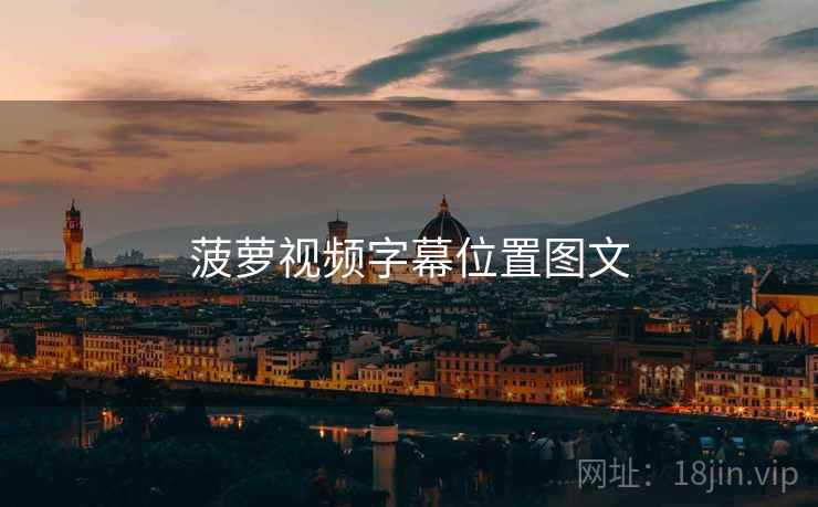 菠萝视频字幕位置图文