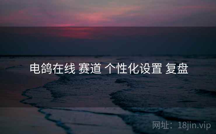 电鸽在线 赛道 个性化设置 复盘