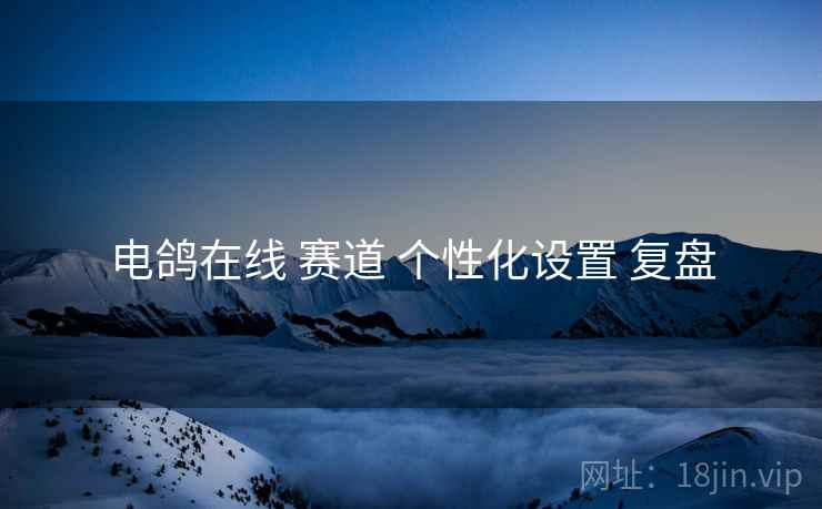 电鸽在线 赛道 个性化设置 复盘