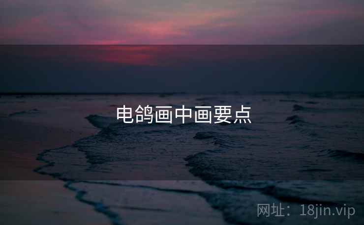 电鸽画中画要点