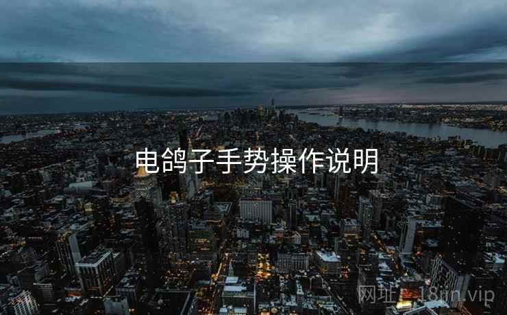 电鸽子手势操作说明