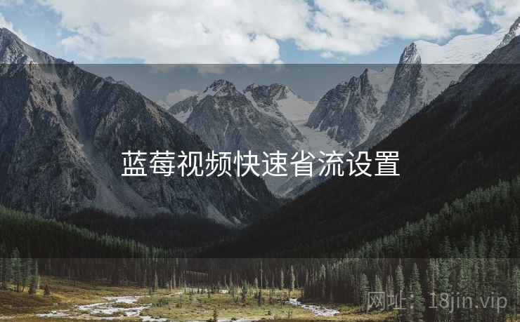 蓝莓视频快速省流设置
