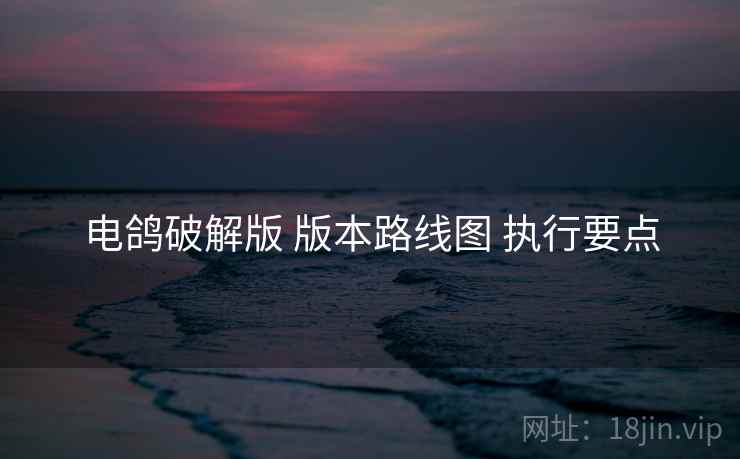 电鸽破解版 版本路线图 执行要点