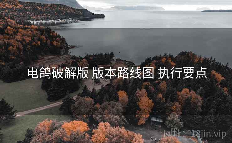 电鸽破解版 版本路线图 执行要点