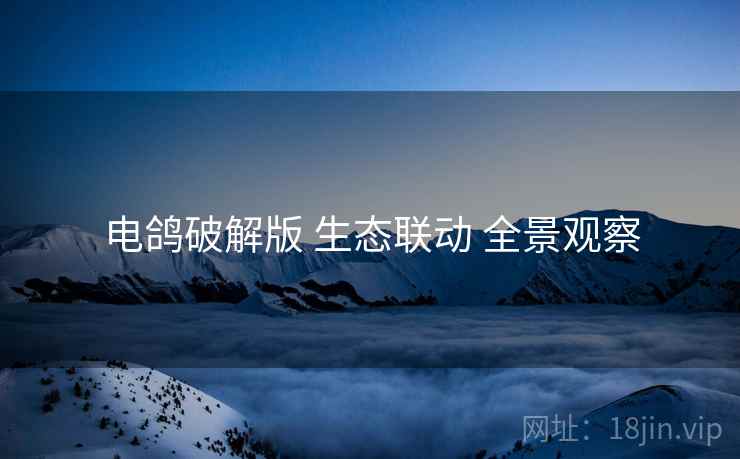 电鸽破解版 生态联动 全景观察