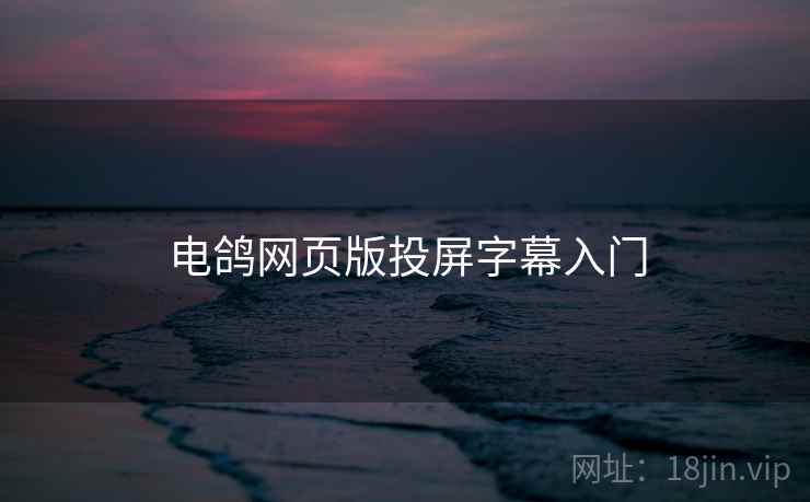 电鸽网页版投屏字幕入门