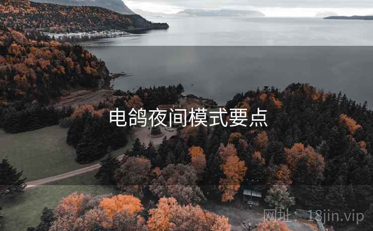 电鸽夜间模式要点