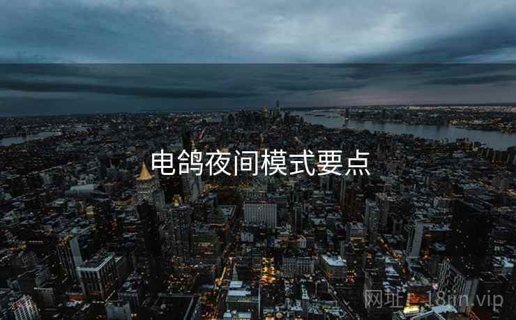 电鸽夜间模式要点