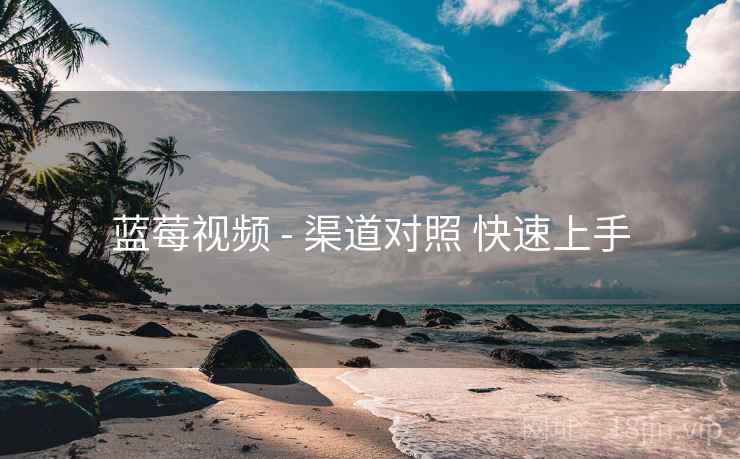蓝莓视频 - 渠道对照 快速上手