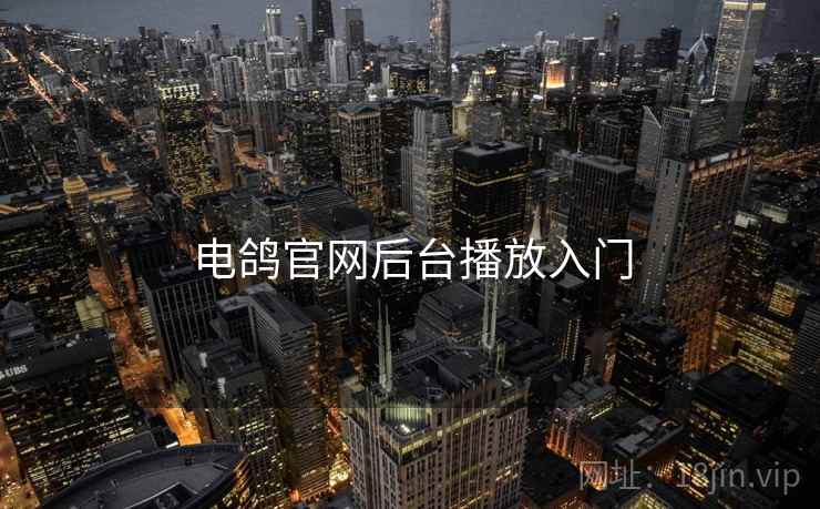 电鸽官网后台播放入门