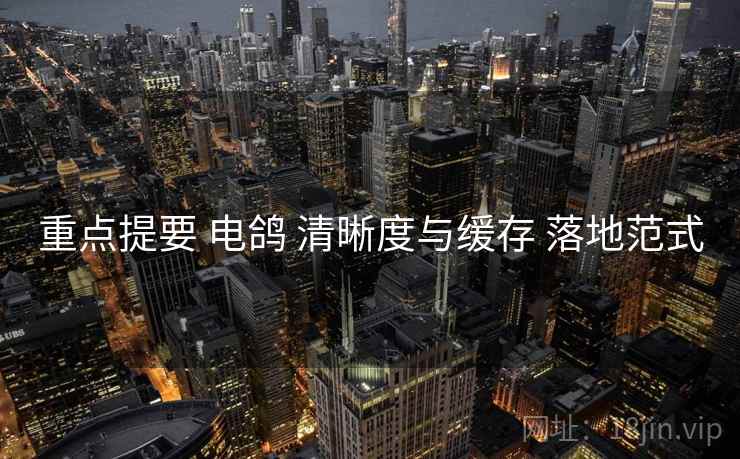 重点提要 电鸽 清晰度与缓存 落地范式