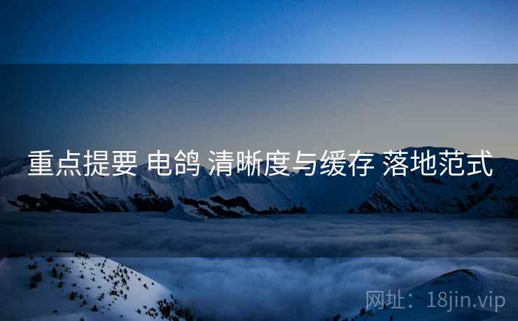重点提要 电鸽 清晰度与缓存 落地范式