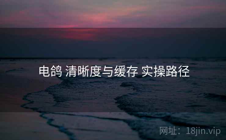 电鸽 清晰度与缓存 实操路径