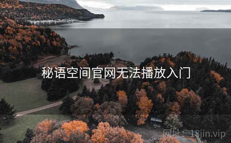 秘语空间官网无法播放入门