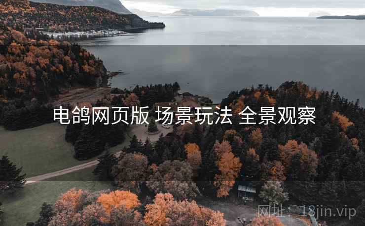 电鸽网页版 场景玩法 全景观察